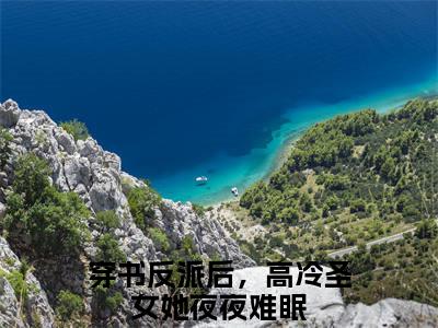 穿书反派后，高冷圣女她夜夜难眠是哪部小说的主角，叶羽免费阅读全文大结局