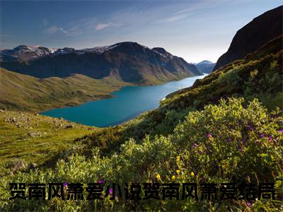 主角为贺南风萧爱的小说（贺南风萧爱）大结局免费阅读-贺南风萧爱全文免费阅读笔趣阁