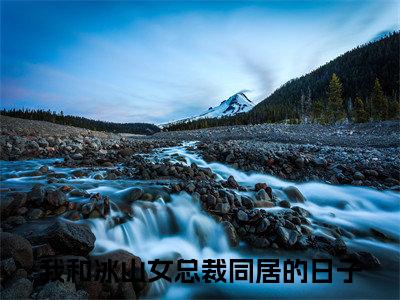 陈浩小说我和冰山女总裁同居的日子全文免费阅读（陈浩已完结）