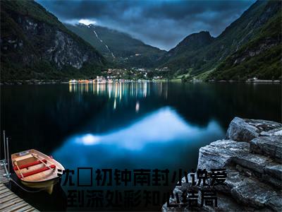 （爱到深处彩知心后续+免费）沈婳初钟南封小说大结局-精彩美文爱到深处彩知心免费阅读