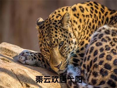 秦云欢唐弋阳（秦云欢唐弋阳小说）小说全文免费阅读无弹窗大结局_（秦云欢唐弋阳）秦云欢唐弋阳最新章节列表_笔趣阁