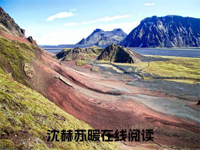 沈赫苏暖无广告小说正版在线阅读，沈赫苏暖全文在线阅读大结局