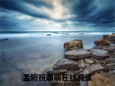 孟珩祝萌萌小说大结局全文免费阅读-小说排行榜top1小说全文阅读