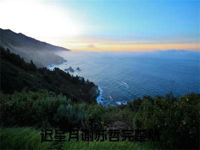 迟星月谢苏哲抖音近期热门小说-迟星月谢苏哲完结版在线阅读