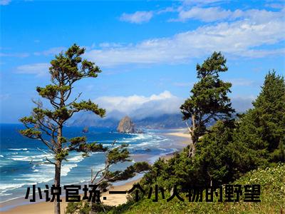 杜玉峰阮玉玲（官场:一个小人物的野望）小说全文免费阅读-杜玉峰阮玉玲（官场:一个小人物的野望）小说免费版最新更新阅读