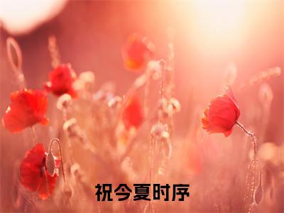 《祝今夏时序》全文免费阅读无弹窗大结局-祝今夏时序无弹窗阅读