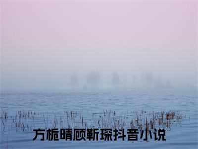 方栀晴顾靳琛全文免费阅读无弹窗大结局-方栀晴顾靳琛 全文全章节免费阅读
