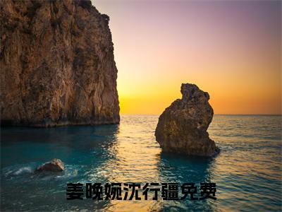 姜晚婉沈行疆（姜晚婉沈行疆）小说全文完结版免费阅读