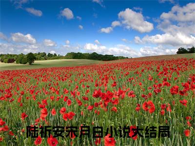 陆祈安宋月白（陆祈安宋月白）全文免费阅读无弹窗大结局_（陆祈安宋月白无弹窗）_笔趣阁
