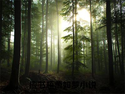 应书桓萧如梦是什么小说-（应书桓萧如梦全文阅读）最新章节列表