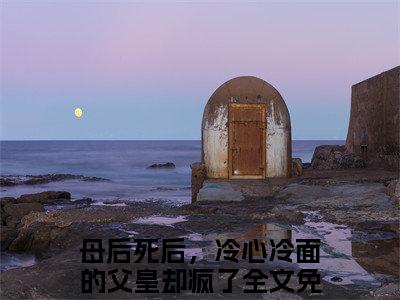 母后死后，冷心冷面的父皇却疯了小说全文免费阅读_（母后死后，冷心冷面的父皇却疯了）陆安然慕辞最新章节列表笔趣阁