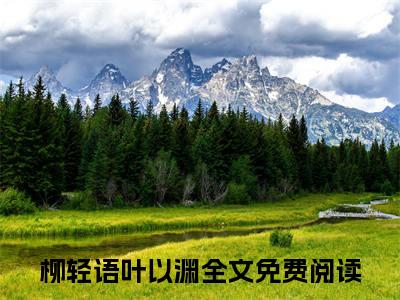 柳轻语叶以渊免费阅读（柳轻语叶以渊）全文免费阅读无弹窗大结局_柳轻语叶以渊免费阅读最新章节列表_笔趣阁（柳轻语叶以渊）