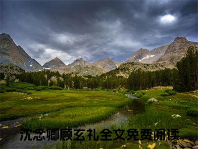 沈念卿顾玄礼免费沈念卿顾玄礼读无弹窗最新章节列表_笔趣阁（沈念卿顾玄礼）