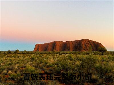 青妩裴珏（青妩裴珏）全文免费阅读无弹窗大结局_青妩裴珏最新章节列表_笔趣阁无删减