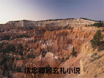 沈念卿顾玄礼热门小说在哪免费看-小说（沈念卿顾玄礼）完整版全文在线赏析