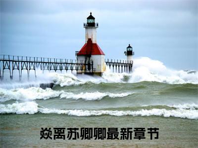 焱离苏卿卿全文免费阅读-最火热点小说最新更新