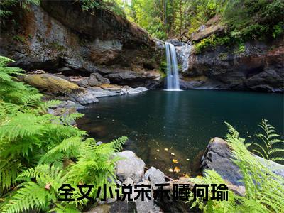 宋禾曦何瑜（宋禾曦何瑜小说）全文免费阅读无弹窗大结局_(宋禾曦何瑜小说免费阅读)宋禾曦何瑜最新章节列表