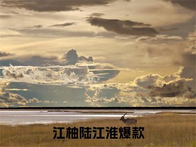 江柚陆江淮近新热推小说-江柚陆江淮完整版在线阅读