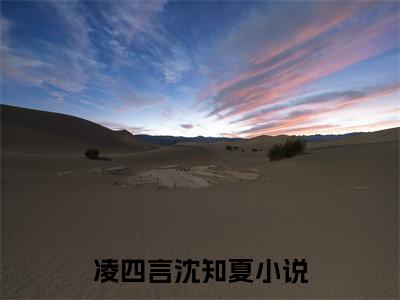 凌四言沈知夏小说全文免费阅读无弹窗-凌四言沈知夏全章节阅读