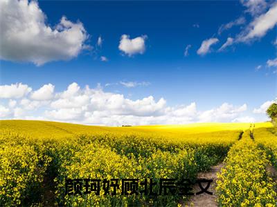颜珂妤顾北辰小说免费阅读无弹窗大结局，颜珂妤顾北辰最新章节列表