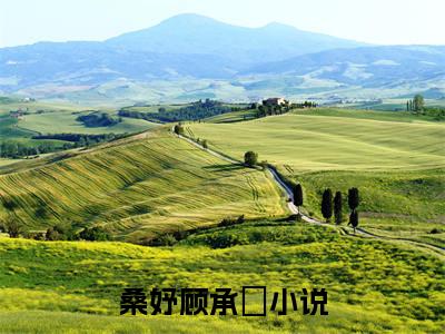 桑妤顾承沨（桑妤顾承沨）全文阅读-（桑妤顾承沨）小说免费阅读最新章节