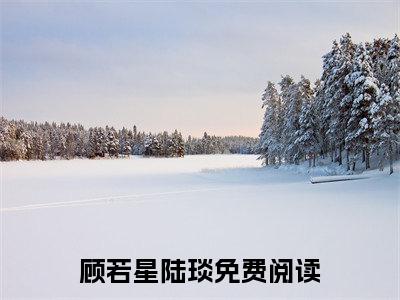 顾若星陆琰（顾若星陆琰）全文免费阅读无弹窗大结局_(顾若星陆琰)免费阅读无弹窗最新章节列表