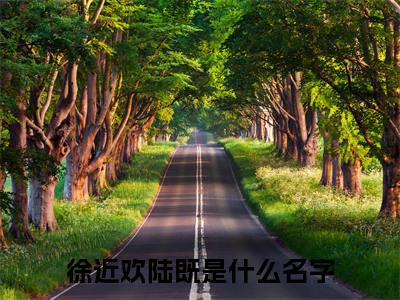 徐近欢陆既（徐近欢陆既）全文在线阅读无弹窗大结局_(徐近欢陆既免费阅读全文大结局)最新章节列表_笔趣阁（徐近欢陆既）