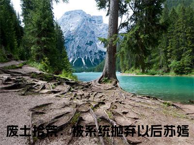 废土拾荒：被系统抛弃以后苏嫣（废土拾荒：被系统抛弃以后苏嫣）火热新书无弹窗大结局_（废土拾荒：被系统抛弃以后苏嫣）最新章节列表_笔趣阁