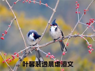 叶馨裴逸晨（叶馨裴逸晨）小说全文免费阅读无弹窗大结局_（叶馨裴逸晨）叶馨裴逸晨小说全文免费阅读最新章节列表笔趣阁（叶馨裴逸晨）