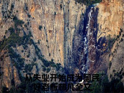 从失业开始成为国民好老板林凡后续+番外免费阅读_（从失业开始成为国民好老板林凡后续+番外免费阅读无弹窗）从失业开始成为国民好老板林凡最新章节列表笔趣阁（从失业开始成为国民好老板林凡后续+番外）