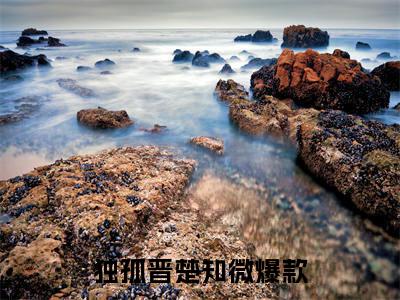 独孤晋楚知微（独孤晋楚知微）全文在线阅读无弹窗大结局_独孤晋楚知微最新章节列表_笔趣阁