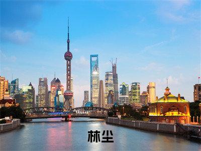 金融首富（林尘）全文免费阅读大结局_金融首富（林尘）免费在线阅读无删减_笔趣阁