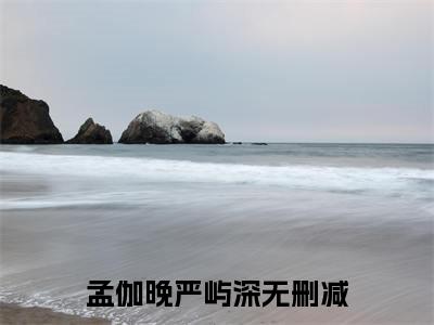孟伽晚严屿深小说(孟伽晚严屿深)全文免费阅读_孟伽晚严屿深（孟伽晚严屿深）最新章节完整版免费阅读（孟伽晚严屿深）