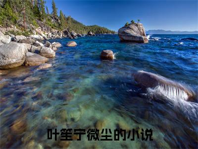 免费小说（叶笙宁微尘）全文无弹窗阅读 叶笙宁微尘大结局免费阅读无弹窗