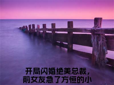 开局闪婚绝美总裁，前女友急了方恒全文免费大结局小说-开局闪婚绝美总裁，前女友急了方恒全文最新章节阅读
