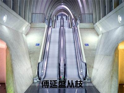 傅延盛从枝最新章节小说推荐阅读-新书傅延盛从枝精彩片段阅读