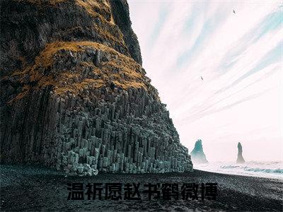 温祈愿赵书鹤抖音小说-小说主角叫什么温祈愿赵书鹤