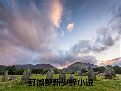 封微梦靳少辞主角是封微梦靳少辞全文免费阅读无弹窗-封微梦靳少辞最新章节列表-笔趣阁