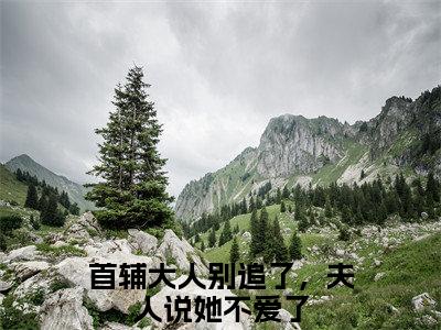 高赞小说宴雯茵战萧（首辅大人别追了，夫人说她不爱了）完结阅读_首辅大人别追了，夫人说她不爱了宴雯茵战萧免费看全文
