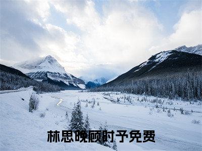 林思晚顾时予小说小说今日阅读更新-（林思晚顾时予小说）全文免费阅读-林思晚顾时予小说