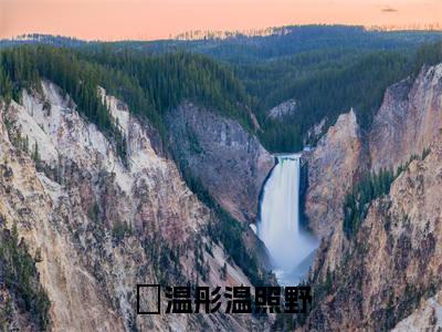 温彤温照野（温彤温照野）小说全本完结版免费阅读