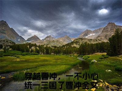 穿越曹冲，一不小心统一三国了曹冲(穿越曹冲，一不小心统一三国了曹冲)全文免费阅读无弹窗大结局-穿越曹冲，一不小心统一三国了曹冲全文无弹窗免费阅读