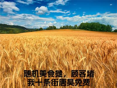 随机美食摊，顾客堵我十条街唐昊全文免费阅读无弹窗大结局_ 随机美食摊，顾客堵我十条街唐昊热门章节在线阅读笔趣阁
