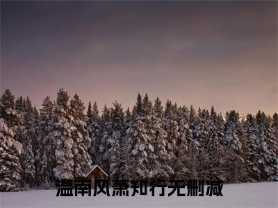 温南风萧知行（温南风萧知行）全文免费阅读无弹窗_温南风萧知行小说_笔趣阁