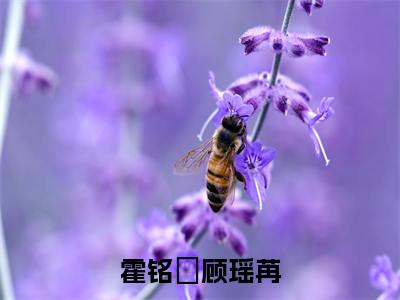 霍铭宬顾瑶苒（霍铭宬顾瑶苒）全集免费阅读无弹窗_霍铭宬顾瑶苒最新章节列表