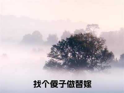 陆明彦乔安找个傻子做替嫁无广告阅读新上热文找个傻子做替嫁在线免费读