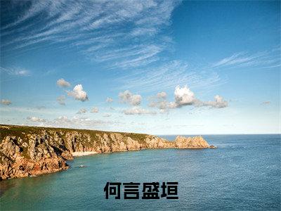 高赞小说（何言盛垣）完结阅读_何言盛垣全文完整版免费阅读最新章节列表