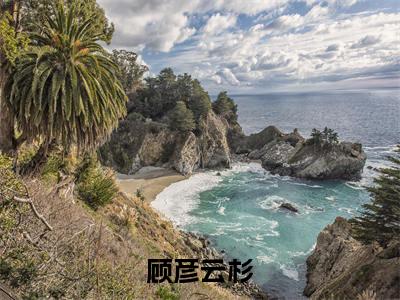 顾彦云杉全文免费阅读无弹窗大结局-顾彦云杉 全文全章节免费阅读