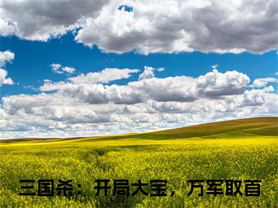 三国杀：开局大宝，万军取首全文免费阅读无弹窗-（齐宇在线阅读）三国杀：开局大宝，万军取首最新章节列表笔趣阁