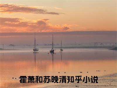 霍萧和苏晚清（霍三爷，我求婚你敢答应吗？）无弹窗小说免费阅读_霍萧和苏晚清最新章节免费阅读_笔趣阁
